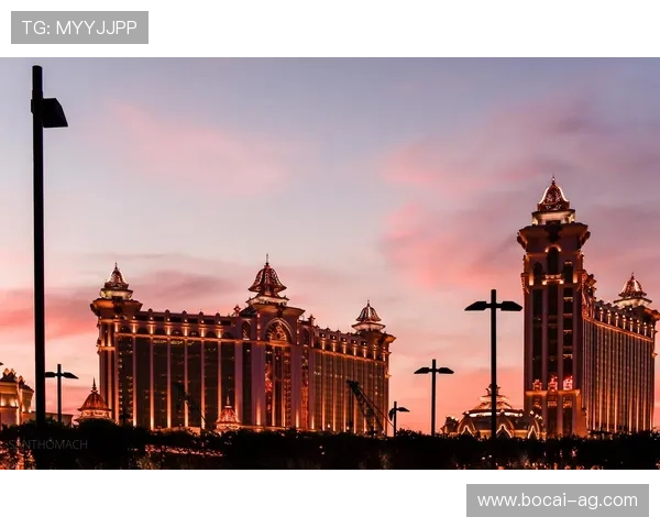 探索澳门鸿运集团：引领博彩业发展的先锋